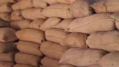 कुरसाकांटा: कर्साकांटा में धान अधिप्राप्ति के लिए 350 किसानों ने किया ऑनलाइन आवेदन