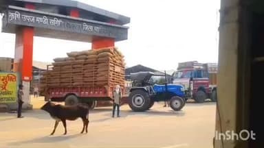 भितरवार: लापरवाही से मौत को बुलावा: भितरवार मंडी गेट के आगे उठा ट्रैक्टर, राहगीर भागे