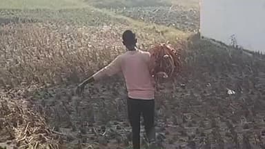 हाटा: कुशीनगर के खेतों में खनिज और तेल खोज के लिए हाईटेक सर्वे, ग्रामीणों में बढ़ी उत्सुकता