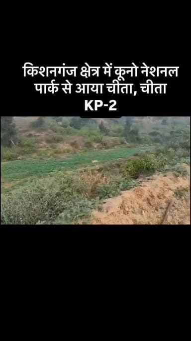 #viral #goankiawaaz #गांवकीआवाज #village