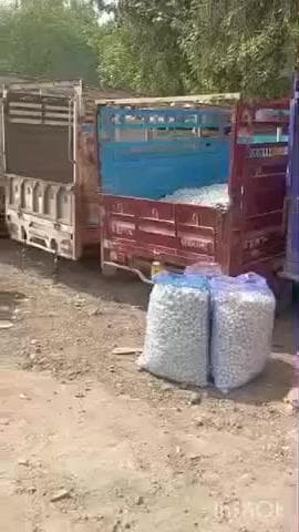 छीपाबड़ोद: छीपाबड़ौद लहसन मंडी में 8559 कट्टी की आवक हुई दर्ज