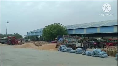 खानपुर: खानपुर कस्बे में स्थित कृषि उपज मंडी में 1650 कट्टे लहसुन की हुई बंपर आवक, भाव रहा ₹7310 प्रति क्विंटल