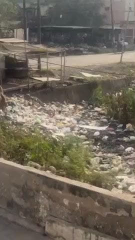 बद्दी: बद्दी में गंदगी का बढ़ता संकट, लोग परेशान