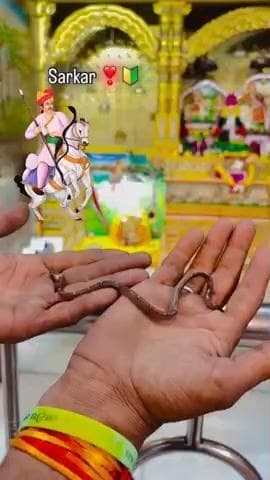 #taja ji maharaj ki jay ho 🙏