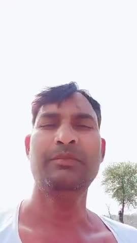 सुअरों से परेशान किसान
या तो सूअर जिएंगे या किसान