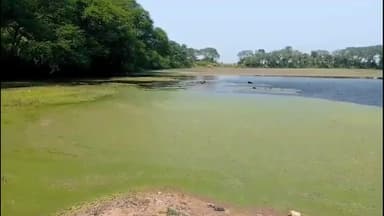 কাশীপুর: একসময়ে ব্যবহার করা বোদমা গ্রামের পুকুর সংস্কারের অভাবে পুকুরের জল ব্যবহার করা যাচ্ছে না,সমস্যায় এলাকাবাসী