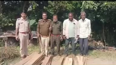 सिलवानी: सिलवानी के खमरिया वन क्षेत्र में ₹38 हजार मूल्य की सागौन लकड़ी ज़ब्त
