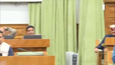 जोगिंदर नगर: जोगिंदरनगर विधायक प्रकाश राणा बोले- आवारा पशुओं को लेकर सिर्फ चर्चा नहीं, ठोस कानून की जरूरत है