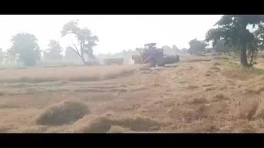 राजिम: गरियाबंद जिले में धान की कटाई जोर पकड़ रही है, किसान समर्थन मूल्य पर बेच रहे हैं