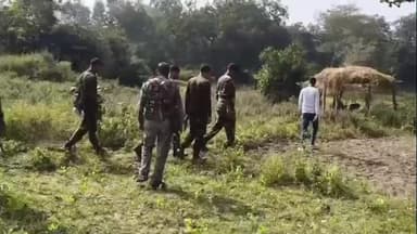 प्रतापपुर: प्रतापपुर में पुलिस की पहल: पोस्ते की खेती छोड़ किसान लौटे 'पीले सोने' (सरसों) की ओर