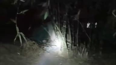 জামালপুর: জামালপুরে সজীপুর এলাকায় সজারুর দেখা মেলায় আতঙ্কিত গ্রামবাসীরা