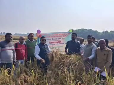 बरबीघा: सांख्यिकी विभाग के निदेशक ने रजौरा गांव में धान की फसल कटाई का जायजा लिया