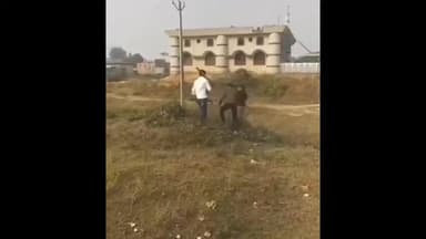 रामपुर मनिहारन: रामपुर मनिहारान की पीर बनी कॉलोनी में युवक को 6 लड़कों ने लाठी-डंडों से बेरहमी से पीटने का वीडियो हुआ वायरल