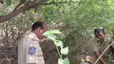 మఠంపల్లి: పాత దోనబండ తండాలో సారా కేంద్రాలపై పోలీసుల దాడి