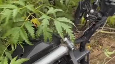 মন্দিরবাজার: মন্দিরবাজার এলাকায় একটি বাইক নিয়ন্ত্রণ হারিয়ে গাছে ধাক্কা মেরে আহত বাইক আরোহী