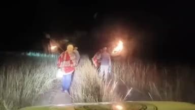 चितरपुर: हेंसापोड़ा जंगल में 25 जंगली हाथियों का झुंड, वन विभाग ने ग्रामीणों को सतर्क रहने की अपील की