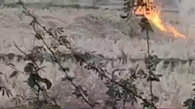 उदयपुरा: उदयपुरा गाडरवारा रोड पर किसान धान की नरवाई में आग लगा रहे, प्रशासन के नियमों का उल्लंघन