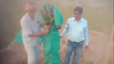 नवलगढ़: वृक्ष मित्र श्रवण कुमार की अनूठी पहल, डूंडलोद में हरियालो राजस्थान के तहत लगाए गए पौधों को सर्दी से बचाने की मुहिम शुरू