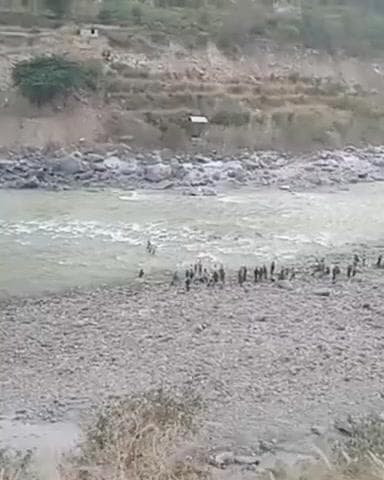 करसोग: सतलुज नदी में मिला महिला का शव, करसोग के डूबे दंपत्ति का अब तक नहीं मिला सुराग