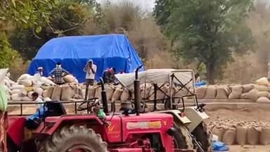 करकेली: आदिम जाति सेवा सहकारी समिति करकेली और कंचनपुर में 1 दिसंबर से धान उपार्जन होगा