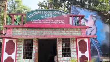 ତେଲକୋଇ: କନ୍ତଲେଇ ଚାଷୀଙ୍କ ନିଦ ହଜାଇଛି ଗୋଠଛଡ଼ା ଦନ୍ତା , ଧାନ ଫସଲ ନଷ୍ଟ କରିବା ସହିତ ଭୟଙ୍କର ଆତଙ୍କ ସୃଷ୍ଟି କରୁଛି ଦନ୍ତାହାତୀ