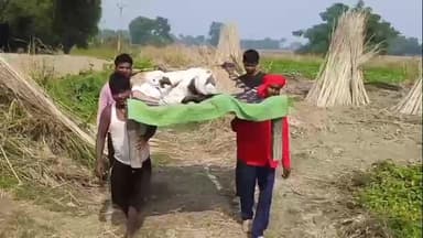 फलका: भरसिया के बंकू टोला में पक्की सड़क न होने से मरीज़ों को खाट पर लादकर अस्पताल ले जाना पड़ता है