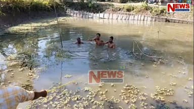 দক্ষিণ কামৰূপৰ সোণতলীত চোৰৰ উপদ্ৰৱ।
দিন দুপৰতে হেৰাইছে ৰখাই থোৱা ই ৰিক্সা।
মংগলবাৰে সোণতলী বজাৰৰ পৰা হেৰুৱা ই ৰিক্সা উদ...