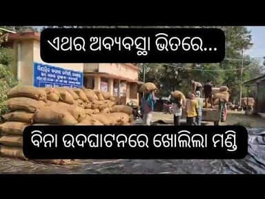 ଏଥର ଅବ୍ୟବସ୍ଥା ଭିତରେ ବିନା ଉଦଘାଟନରେ ଖୋଲିଲା ମଣ୍ଡି, କିନ୍ତୁ ବିକ୍ରୀ ହେଲାନାହିଁ ଧାନ ନିରାଶରେ ଚାଷୀ