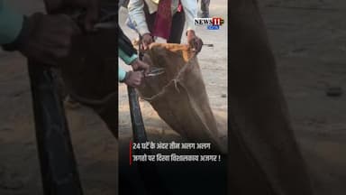 24 घटें के अंदर तीन अलग अलग जगहो पर दिखा विशालकाय अजगर !