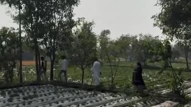 સાપુતારા ખાતે સ્વચ્છતાના બ્રાન્ડ એમ્બેસેડરે સ્ટ્રોબેરી અને ટામેટાની ખેતીની લીધી મુલાકાત