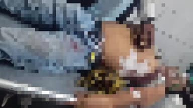 বেলডাঙা ১: গোষ্ঠীদ্বন্দ্বের ঘটনায় বিরোধীদের ঘাড়ে দোষ,বহরমপুরের তৃণমূল নেতা খুুন প্রসঙ্গে বিস্ফোরক বেলডাঙার বিজেপি কনভেনার