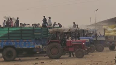 नरवर: नरवर मगरोनी कृषि उपज मंडी में फसलों की आवक जारी, धान ₹2500 व मूंगफली ₹6500 प्रति क्विंटल