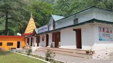 पांगी: भालू ने हमला करके महिला को उतारा मौत के घाट, पशुओं को लेकर घर लौट रही थी महिला