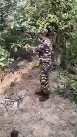 झाझा: सिमुलतला के घोरपारण पहाड़ी में SSB की बड़ी कार्रवाई, जंगल से बरामद हुए हथियार व विस्फोटक