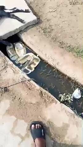 प्रयागराज घूरपुर मैंकवर भैंसपुर पाल बस्ती
की नीली साफ नहीं हुआ है 6 महीने से
प्रधान कोई वह नहीं कर रहे हैं