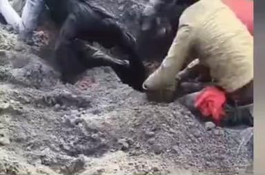 गाडरवारा: एनटीपीसी में बड़ा हादसा, फ्लाई ऐश का पहाड़ गिरने से ड्राइवर की दबकर मौके पर मौत