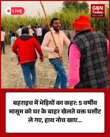 बहराइच में भेड़ियों का कहर: 5 वर्षीय मासूम को घर के बाहर खेलते वक्त घसीट ले गए, हाथ नोच खाए #Bahraich #UPNews #Wildlife