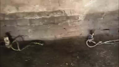 मऊरानीपुर: लहचूरा थाना क्षेत्र में बकरी चोरों का आतंक, नयागांव में इको कार से बकरी चोरी, ग्रामीण दहशत में