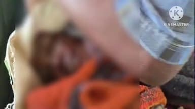 मामूली विवाद में मां की हत्या, बरमकेला पुलिस ने आरोपी पुत्र को किया गिरफ्तार, खाना नहीं मिलने पर हुआ आरोपी आग बबूला