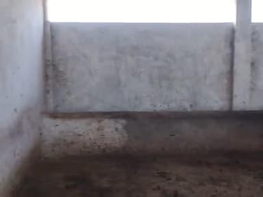 padli thakur ki goshala me gay Bina chare ke rokete h or kishan ki gheu ki fasal nast karti h