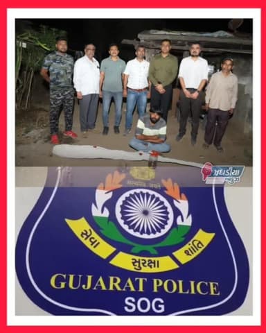 રહેણાંક મકાનના વાડામાં વાવેતર કરેલ શંકાસ્પદ વનસ્પતિજન્ય ગાંજાનો છોડ પકડાયો.#police #sog #video #jhagadai #bharuch