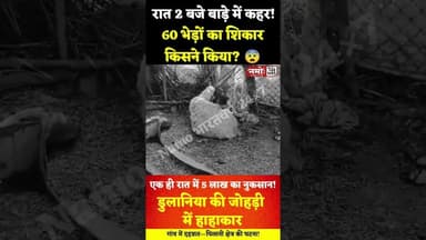 पशुपालक के निकले आंसू, 60 भेड़ों को जंगली जानवर ने....#viral #jhunjhunu #rajasthan #pilani