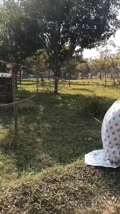 सोनबरसा: एसएसबी कैंप में जवान द्वारा आत्महत्या की कोशिश की चर्चा, पुष्टि होना बाकी है