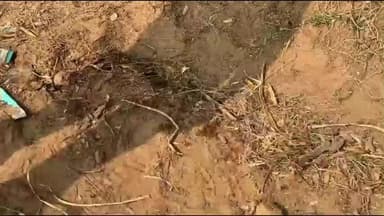 सांगानेर: मौखमपुरा में प्रेम प्रसंग के चलते प्रेमी और प्रेमिका पर पेट्रोल डालकर आग लगाई, 60 से 70% झुलसे, एसएमएस में उपचार जारी