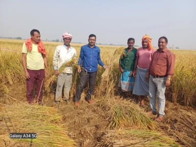 संझौली: मसोना गांव में कृषि विभाग और संख्याकी विभाग ने कराई क्रॉप कटिंग