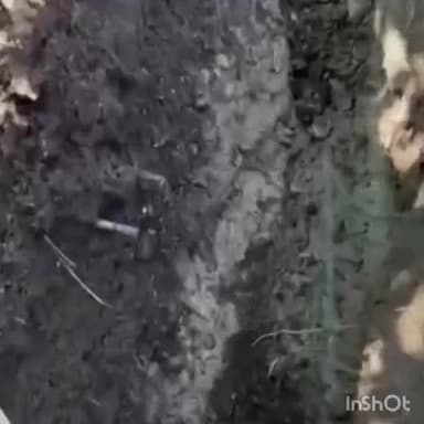 ढटवाल: घरयाणी गाँव में पानी में कीड़े मिलने का मामला, जांच में हुआ खुलासा, पाइप में छेद होना निकला कारण