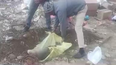 डीएवी इंटर कॉलेज पौड़ी में दो बंदरों के बीच हुए आपसी संघर्ष में एक वानर की मौत