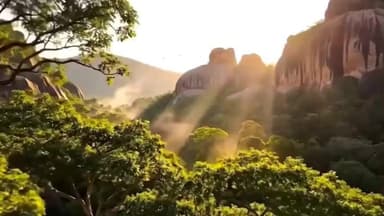 తాడ్వాయి: వైరల్ గా మారిన మేడారం A.I వీడియో