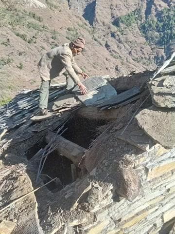 जोशीमठ: पोखनी गांव में भालू ने गौशाला की छत फाड़कर चार मवेशियों को किया घायल, ग्रामीणों में दहशत का माहौल