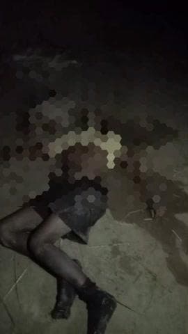 भैयाथान: खलिहान में सो रहे दम्पति को हाथियों ने कुचलकर ले लिया, भैयाथान में शनिवार दोपहर 12 बजे फॉरेस्ट विभाग से मिली जानकारी